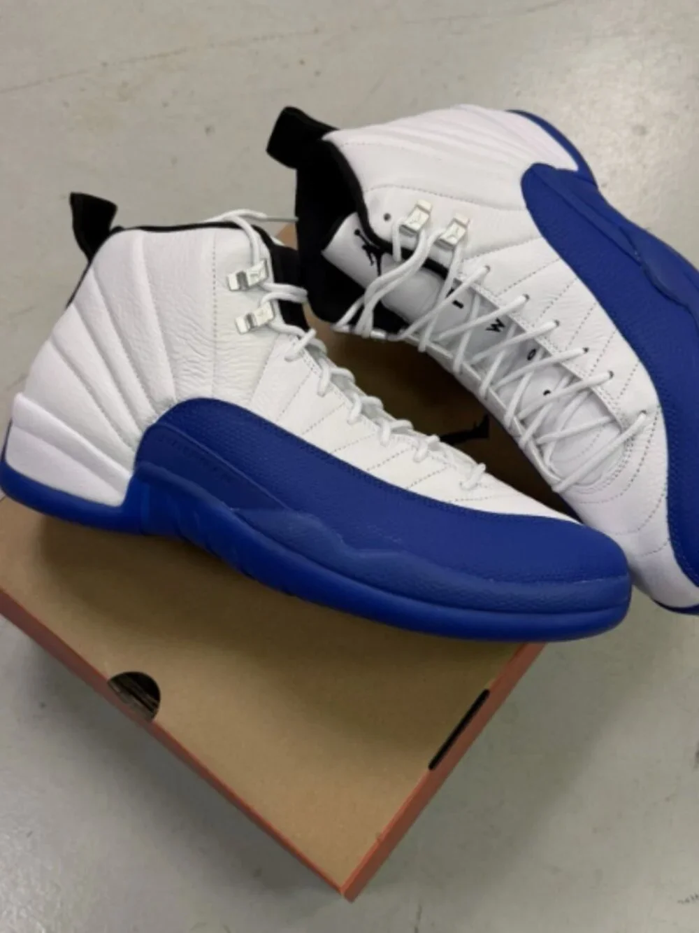 Nike Air Jordan 12 Retro Blueberry